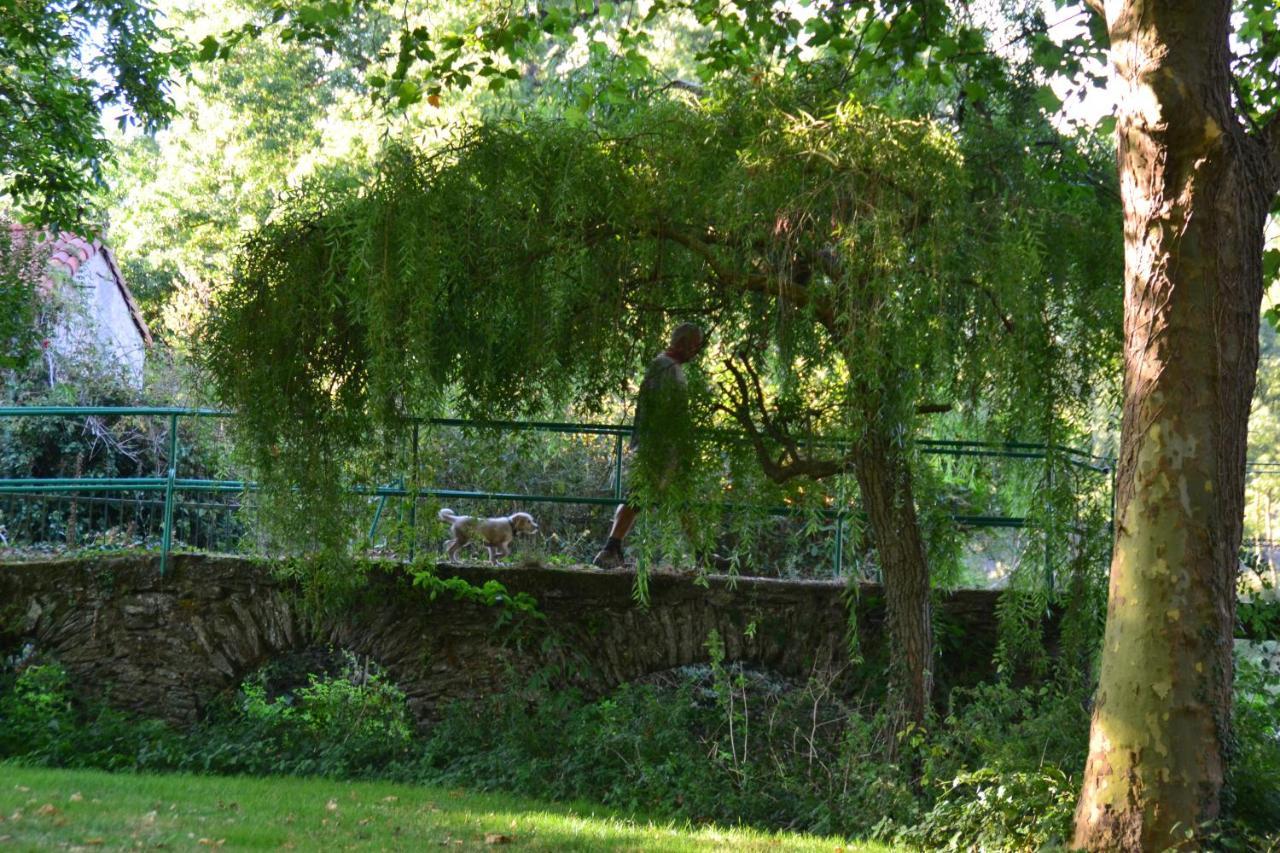 Le Moulin Neuf Villa Beaupréau-en-Mauges Exteriör bild