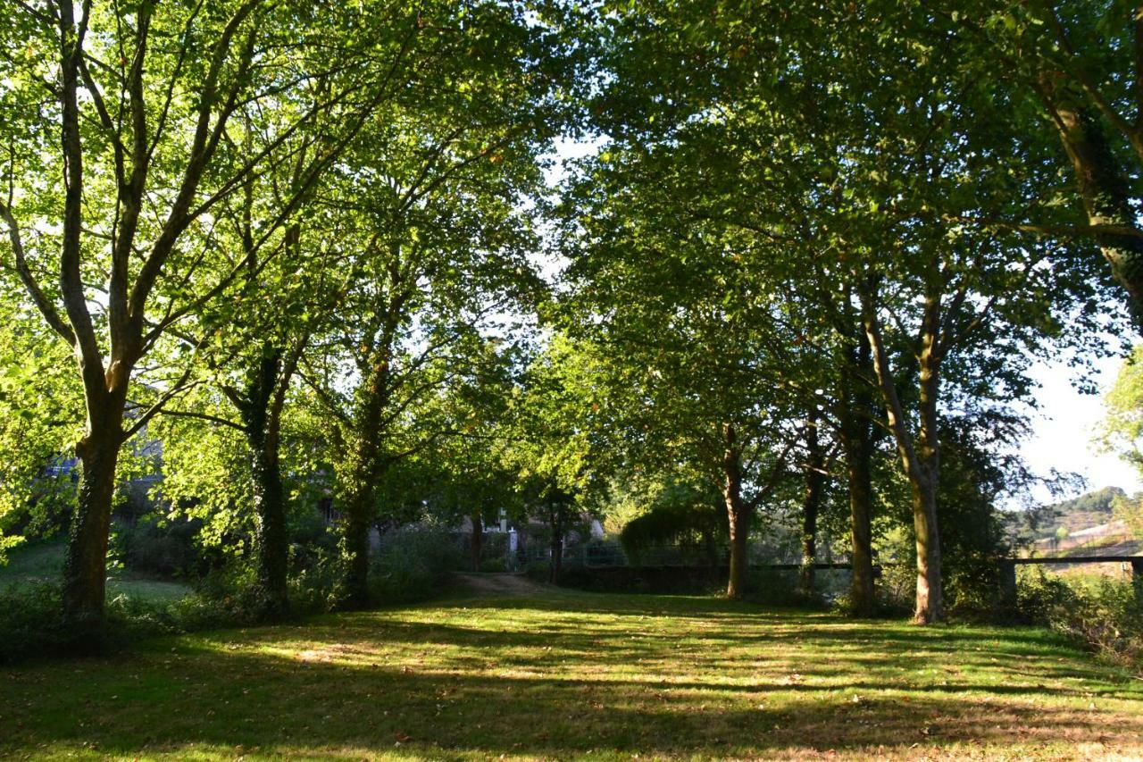 Le Moulin Neuf Villa Beaupréau-en-Mauges Exteriör bild